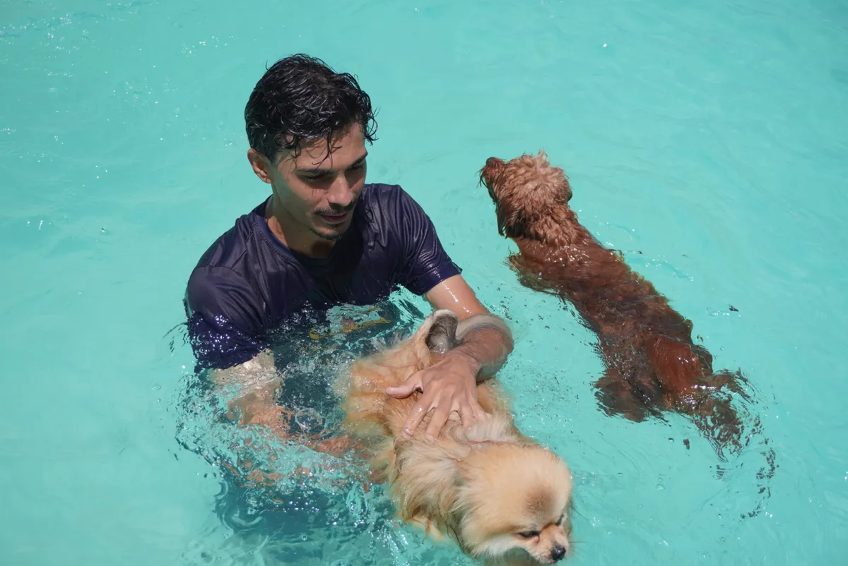 Profissional acompanhando um cão na piscina